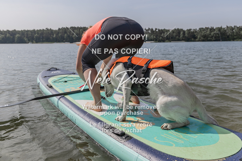 BUHU_SUP_403 | nelerasche