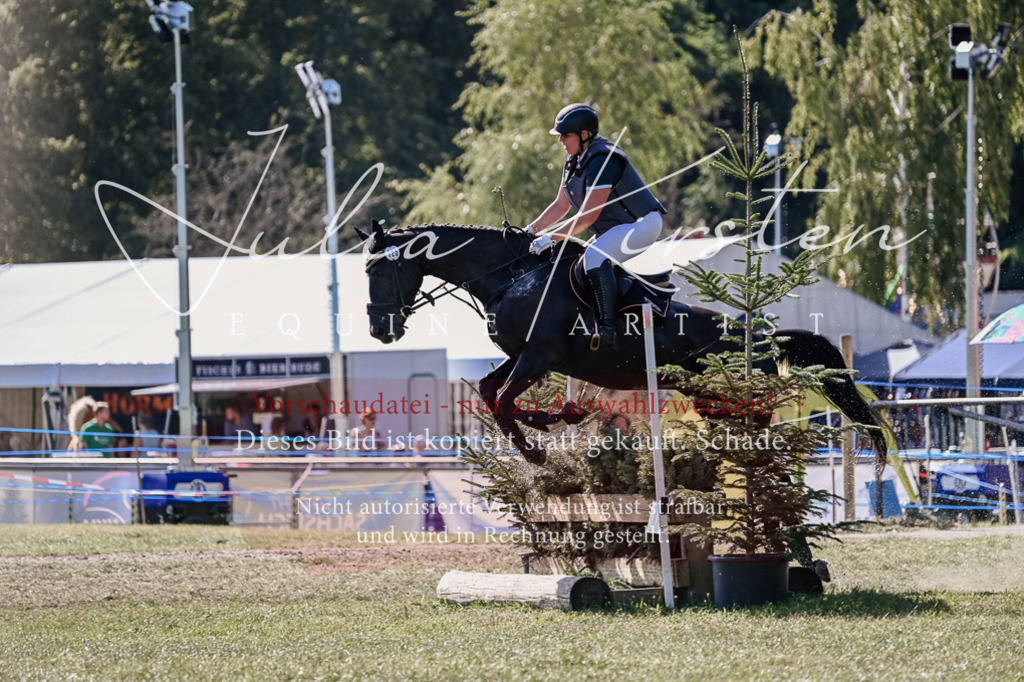 DSC_3348 | Pferde- und Turnierfotografie in Westsachsen. Pferdeportraits, Auftragszeichnungen und intuitive Kunst.