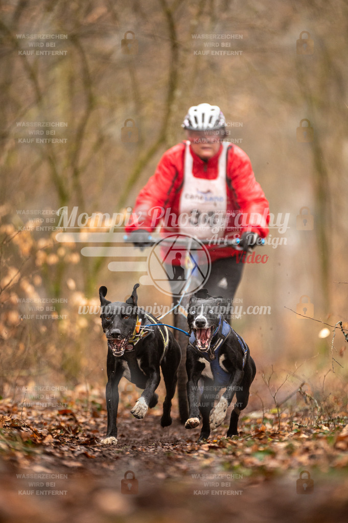 Reiat2023_SON_DS2_5km_2H-27 | PayLife