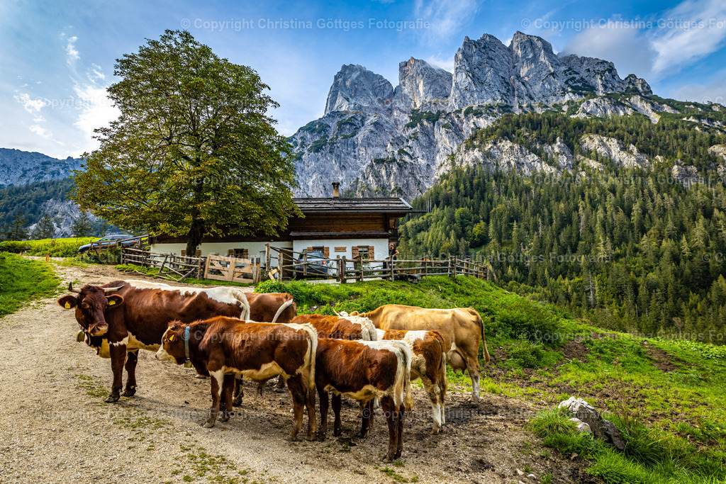 _75A2443 | Leinwand, Berchtesgaden, Leinwand Berchtesgaden, 
Bilder Berchtesgaden, Foto Druck, Kalender Berchtesgaden, 
Fotogalerie Berchtesgaden, Rahmen, Fotograf Berchtesgaden,
Fotograf, Landschaftsbilder, Drohnenaufnahmen, Berchtesgadener Land, Foto  - Realisiert mit Pictrs.com