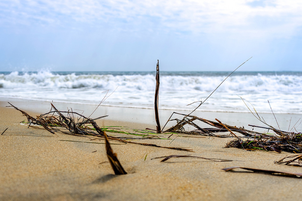 Einsamer Strand | Vietnam | Premium-Wandbild von justsomewhere.com: Eine bodennahe Nahaufnahme von angespültem Treibholz, Gras und getrockneten Palmwedeln auf dem feinen Sand eines Strandes in Vietnam, während im Hintergrund weiße Meereswellen brechen. - Realisiert mit Pictrs.com