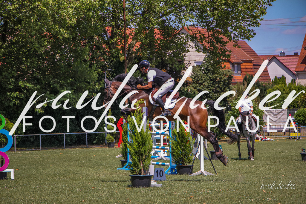 IMG_9587 | Erleben Sie dynamische Sport- und emotionale Tierfotografie in Süddeutschland mit Fotos von Paula. Spezialisiert auf Pferde- und Hundefotografie sowie Sportevents. Kontaktieren Sie mich für einzigartige und ausdrucksstarke Bilder Ihrer besonderen Momente. - Realisiert mit Pictrs.com