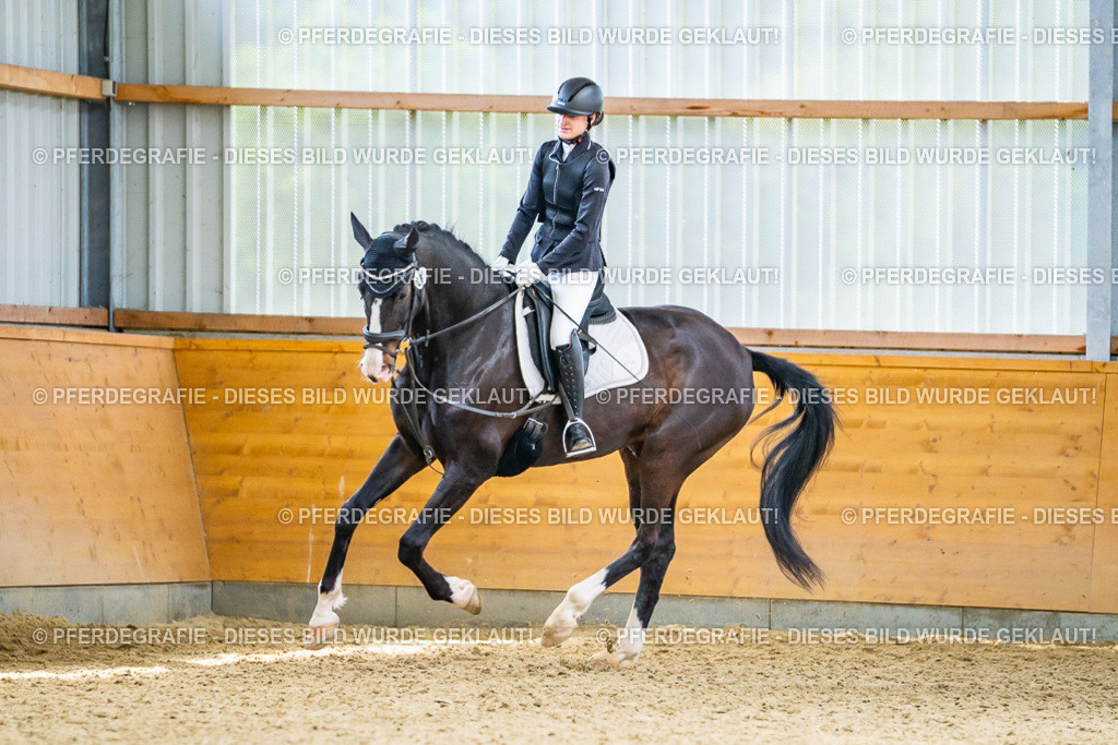 DSC04164 | Pferdegrafie