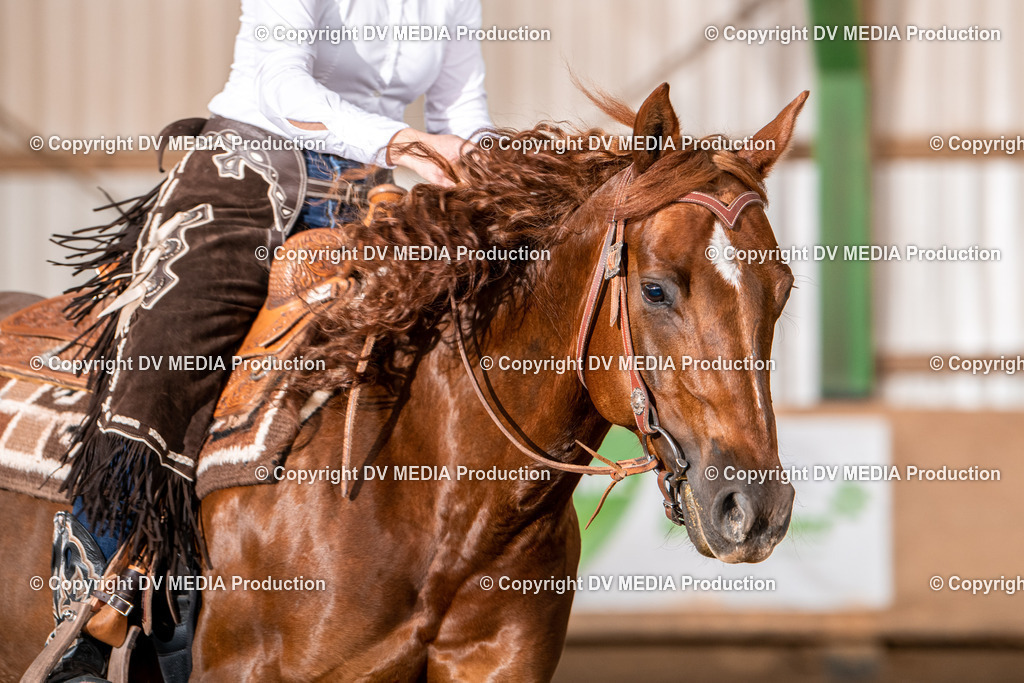 Balingen Tag 2-1189 | dv-media-shop - Realisiert mit Pictrs.com