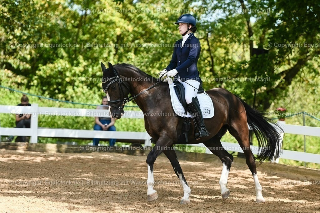 20230715_02_Dressurreiterprüfung Kl.L_0266 | equistock