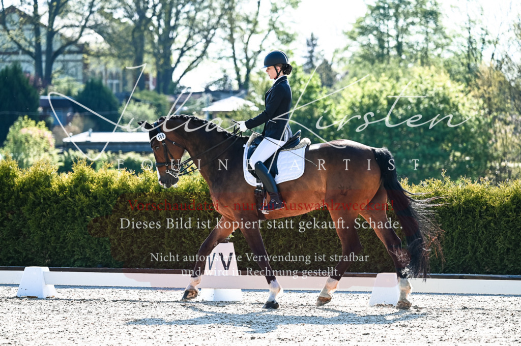 20230513_JK-Röhrsdorf-10-0032 | Pferde- und Turnierfotografie in Westsachsen. Pferdeportraits, Auftragszeichnungen und intuitive Kunst.