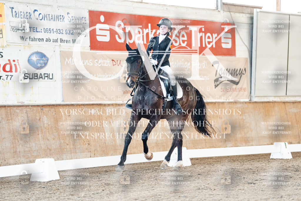 CK907203 | Turnierfotografie Pferdefotografie Trier Rheinland-Pfalz Pferdesport Reitsport Tierfotografie Sportfotografie Pferdevideo Pferdevideografie Equestrianvideography equestrianphotography  - Realisiert mit Pictrs.com