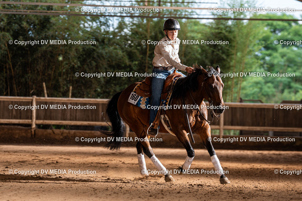 Erbach Tag 1-1212 | dv-media-shop - Realisiert mit Pictrs.com