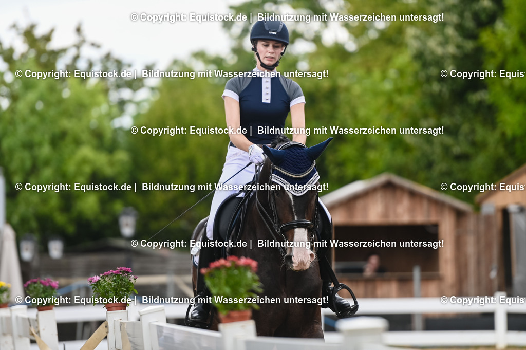 20230716_01_Dressurprüfung Kl.M_0487 | equistock