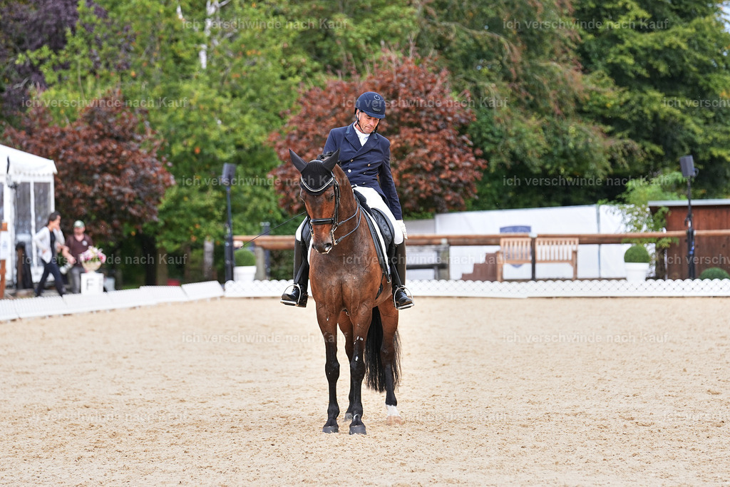 11-226-Dressur S___-Marixx-1741 | working equitationturnier fotograf videograf stoibphotography marixx film working equitation deutschland reitsport turnierfotografie eventfotografie equestrian events