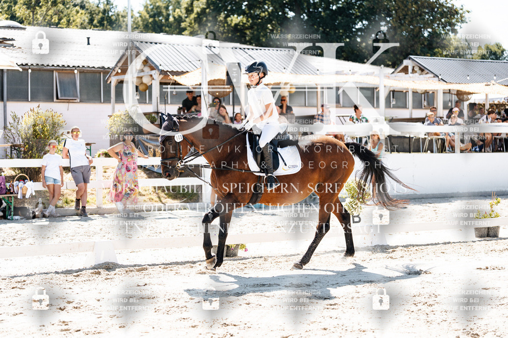 CK902555 | Turnierfotografie Pferdefotografie Trier Rheinland-Pfalz Pferdesport Reitsport Tierfotografie Sportfotografie Pferdevideo Pferdevideografie Equestrianvideography equestrianphotography  - Realisiert mit Pictrs.com