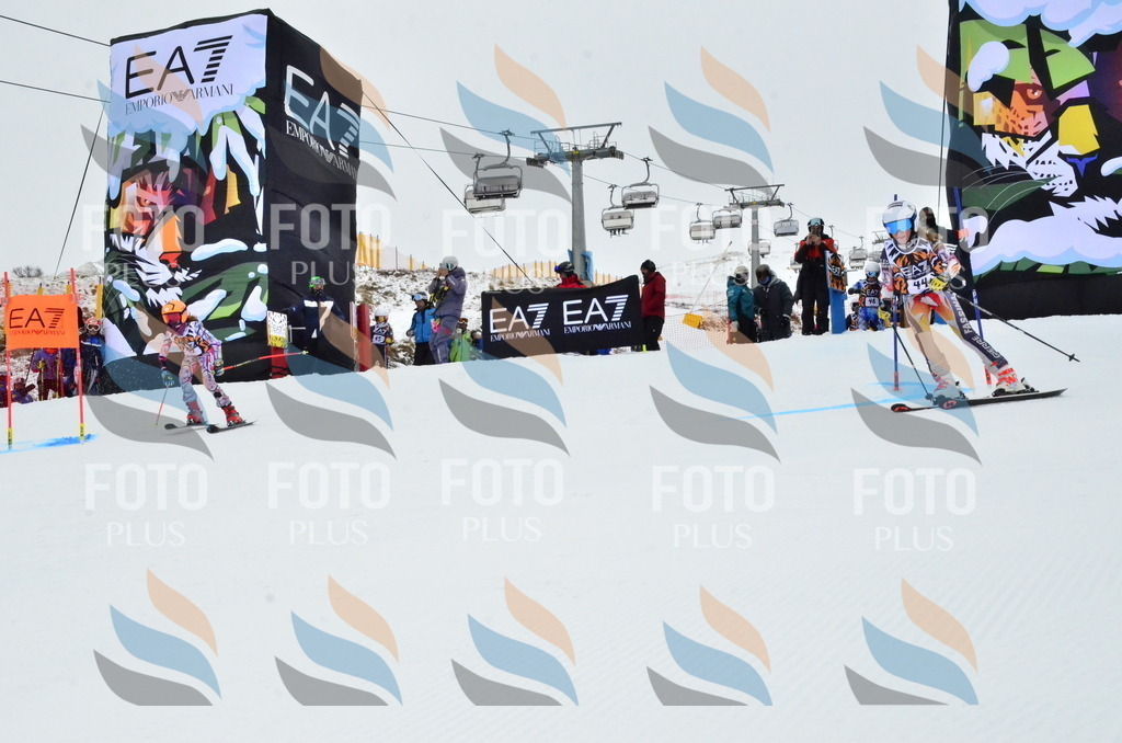 _ELE3345 | holidayphoto