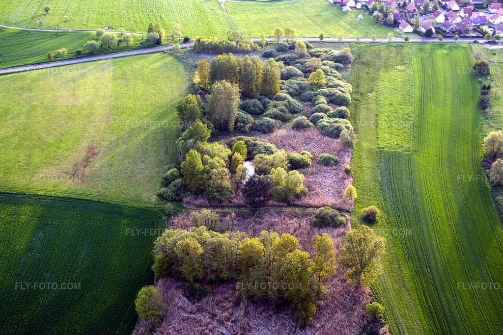 Aerial view: Tree island in a field in Durrenbach in Walbourg in the state Bas-Rhin, France. – Photo: IMG_10675.jpg taken on 05/04/2008 by Werner Riehm/FLY-FOTO.com – Resolution of the original: 3456 x 2304 px