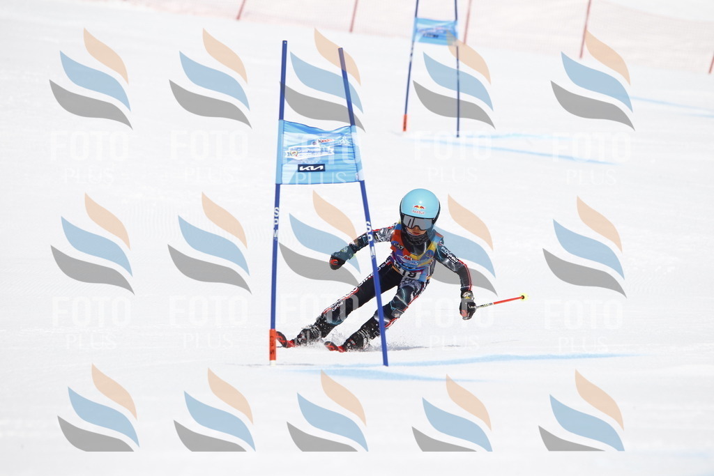 _U3G5612 | holidayphoto