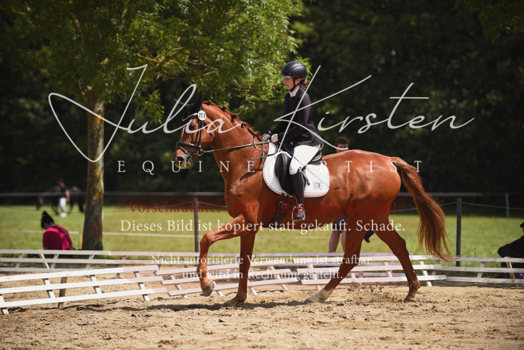 DSC_1105 | Pferde- und Turnierfotografie in Westsachsen. Pferdeportraits, Auftragszeichnungen und intuitive Kunst.