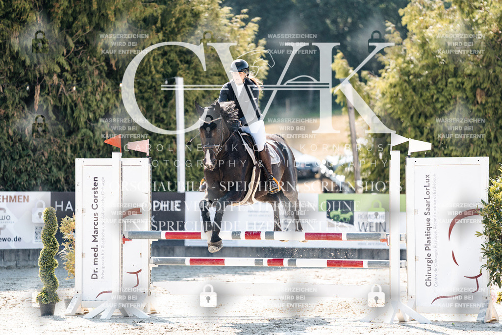 CK908103 | Turnierfotografie Pferdefotografie Trier Rheinland-Pfalz Pferdesport Reitsport Tierfotografie Sportfotografie Pferdevideo Pferdevideografie Equestrianvideography equestrianphotography  - Realisiert mit Pictrs.com