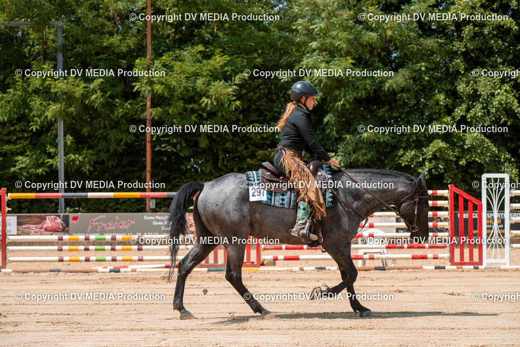 ZS2_8243 | dv-media-shop - Realisiert mit Pictrs.com