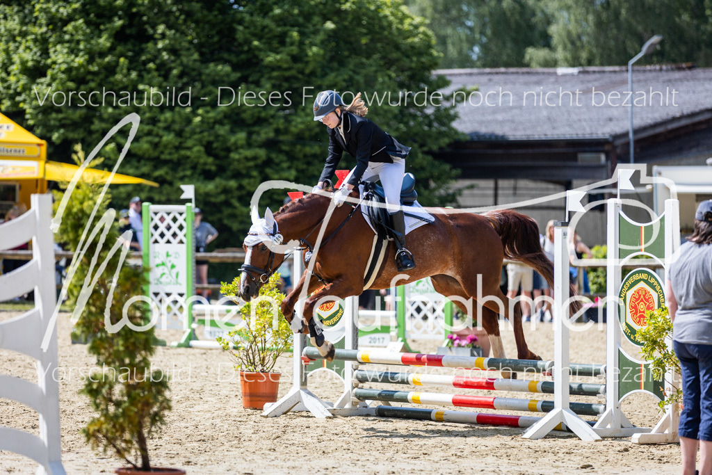 Donop24-SprRW-034 | MomenTaufnahmen Pferdesportfotos