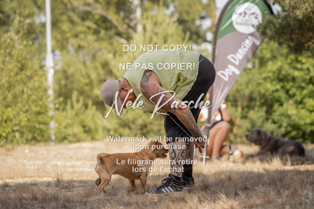nelerasche_soDD2_64 | nelerasche