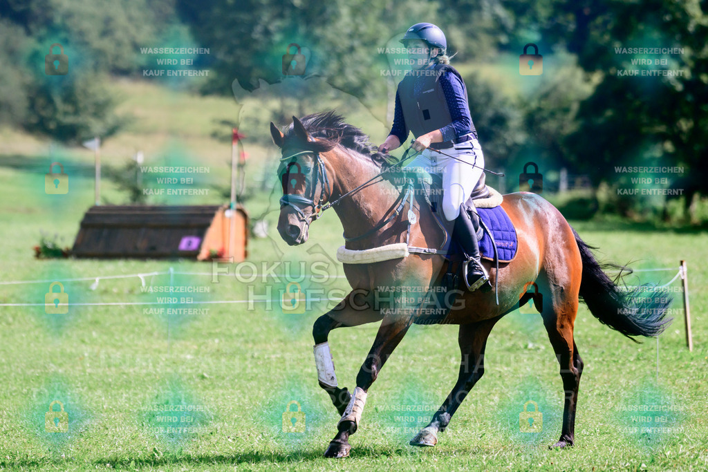 18072026-Schwaiganger-Prfg06-0039 | Fokus Hufschlag Fotografie - Realisiert mit Pictrs.com