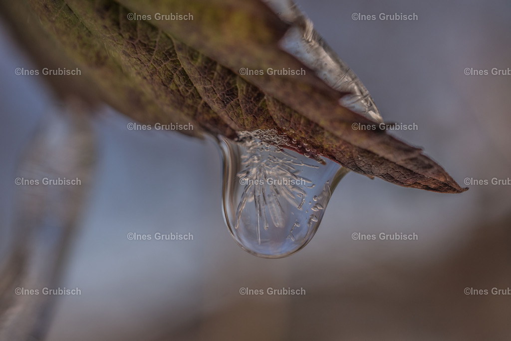 Geeister Tropfen | Lila Lubbenbomm - Artwork by Ines Grubisch - Realisiert mit Pictrs.com