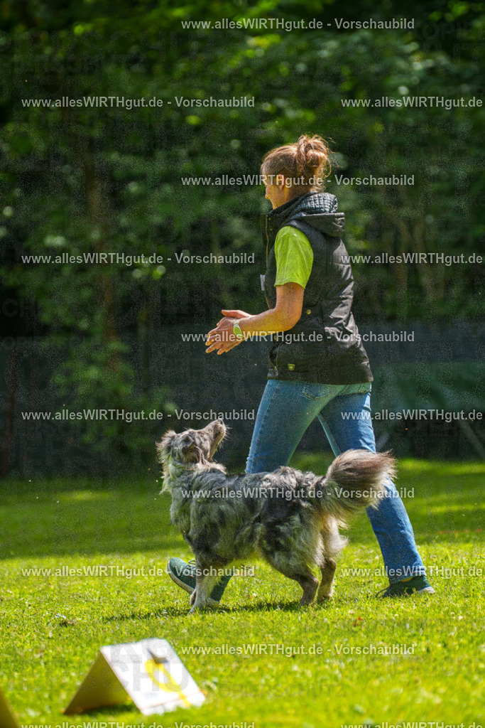 @allesWIRTHgut_Tierfotografie - www.allesWIRTHgut.de - 7R505947 | Professionelle Tierfotografie in Mönchengladbach von Daniel Wirth (allesWIRTHgut). Liebevolle & natürliche Bilder von Hunden & Katzen für unvergessliche Erinnerungen.