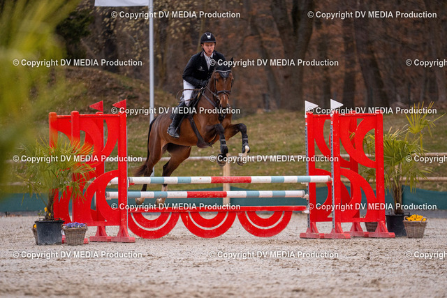 Kranichstein Tag 2-075 | dv-media-shop - Realized with Pictrs.com