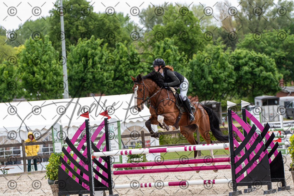 KPT_8779 | andre_photographic