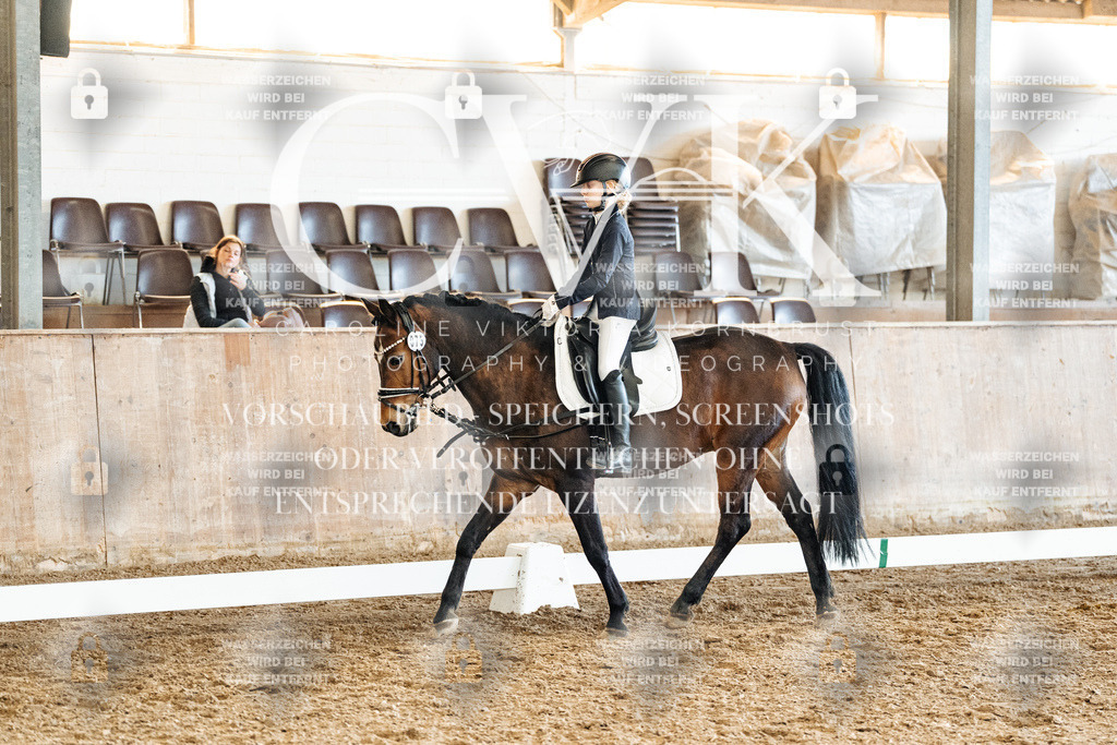 CK900571 | Turnierfotografie Pferdefotografie Trier Rheinland-Pfalz Pferdesport Reitsport Tierfotografie Sportfotografie Pferdevideo Pferdevideografie Equestrianvideography equestrianphotography  - Realisiert mit Pictrs.com