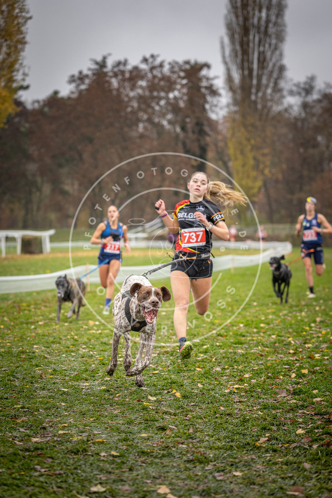 CaniXpix_DV3A9139 | Hundefotografie, Tierfotograf, Pfotenfotografie, Fotoshooting Hund, Hunde Portrait, Hundesport, Hundeportraits, Heideshooting, Hunde, Sportfotograf, Hundefotograf, Turnierhundsport, THS,  - Realisiert mit Pictrs.com