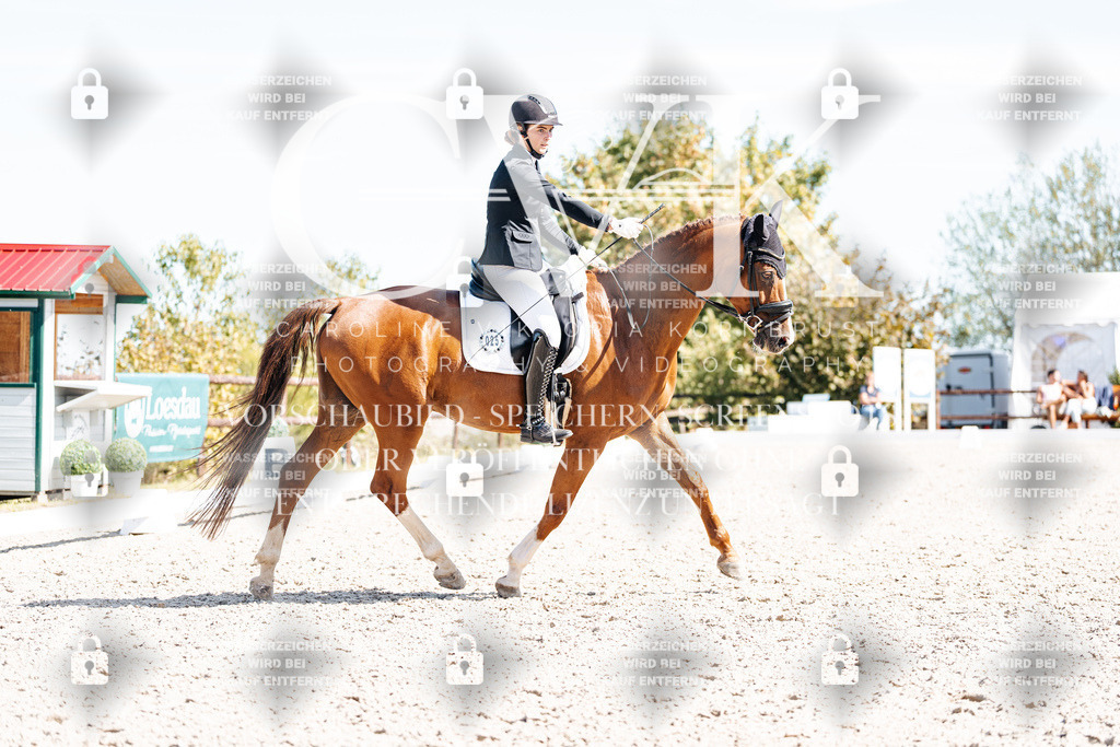 CK909529 | Turnierfotografie Pferdefotografie Trier Rheinland-Pfalz Pferdesport Reitsport Tierfotografie Sportfotografie Pferdevideo Pferdevideografie Equestrianvideography equestrianphotography  - Realisiert mit Pictrs.com