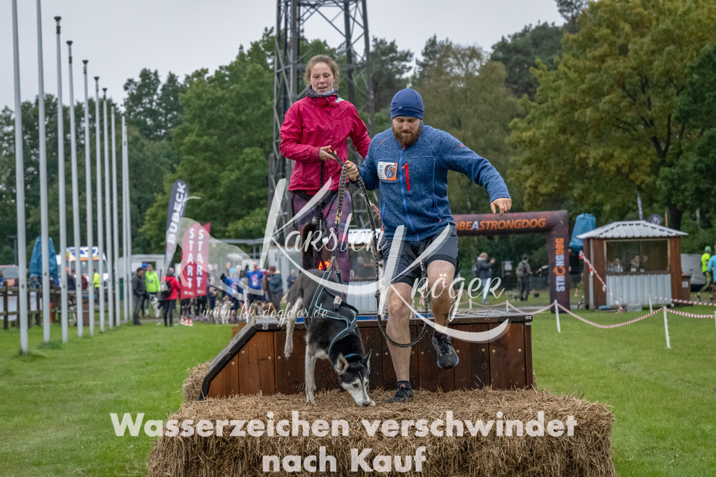 1213--5 | kk-dogfotos