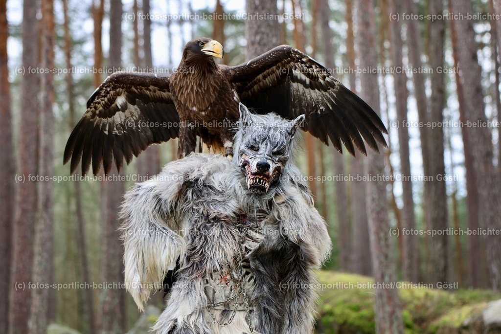 2X5A4333 | fotos-sportlich-belichtet - Realisiert mit Pictrs.com