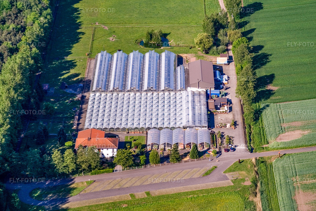 Luftbild: Kakteenland Steinfeld in Steinfeld im Bundesland Rheinland-Pfalz in Deutschland. Foto: IMG_10773.jpg vom 12.05.2008 durch Werner Riehm/FLY-FOTO.de