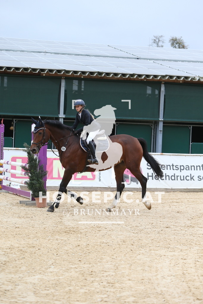 DL2Q0490 | Willkommen bei Brunnmayr - Design & Fotografie – Ihrem Spezialisten für Reitturniere und Pferdeveranstaltungen in Oberösterreich, Salzburg und Bayern! Seit über 17 Jahren sind wir leidenschaftlich dabei.