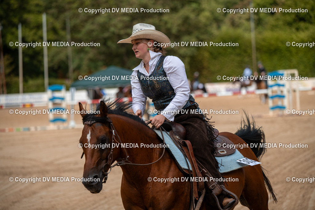 ZS2_8718 | dv-media-shop - Realisiert mit Pictrs.com