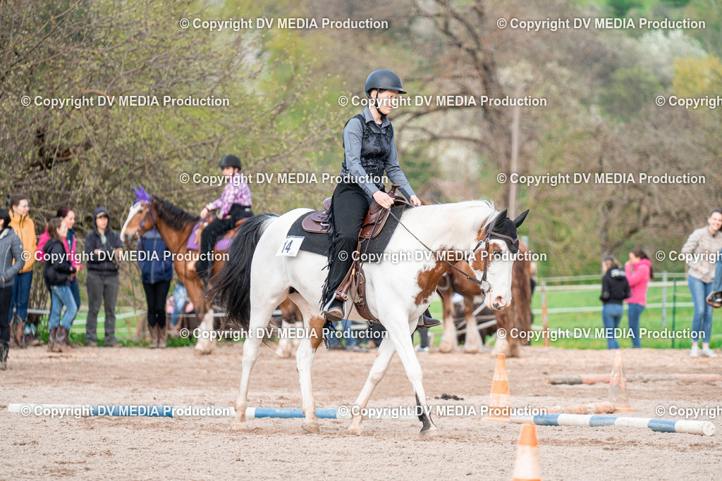 BAL02942 | dv-media-shop - Realisiert mit Pictrs.com