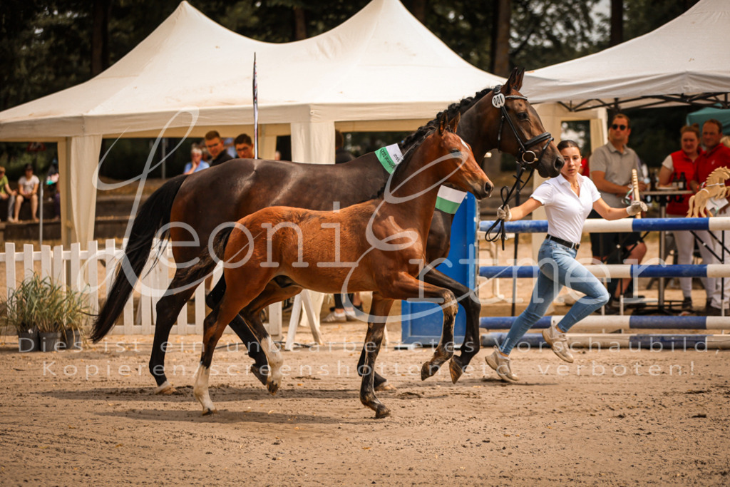 SaPA00017 | Leoni Ertmer Photography - Realisiert mit Pictrs.com