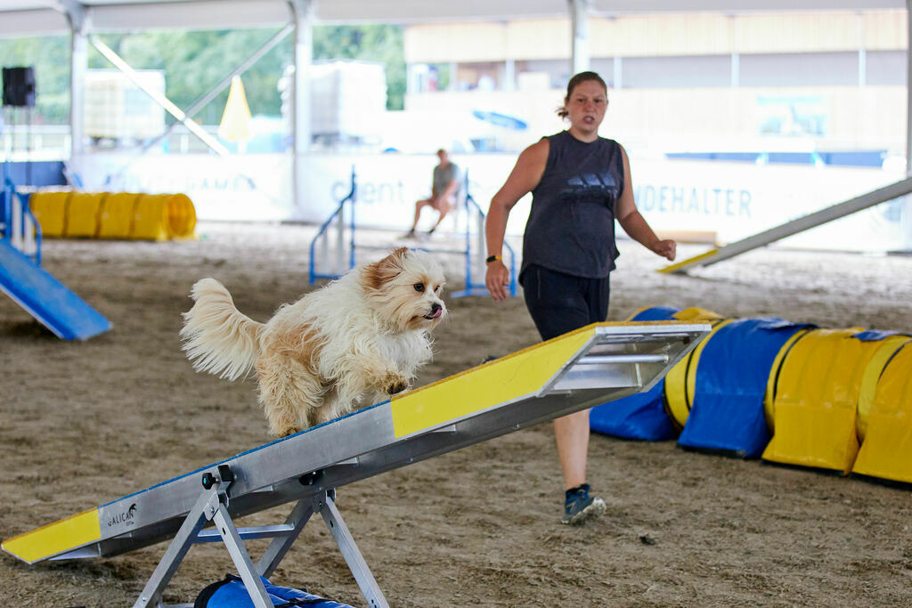 580A0248 | Peter Fridle Fotografie - Realisiert mit Pictrs.com