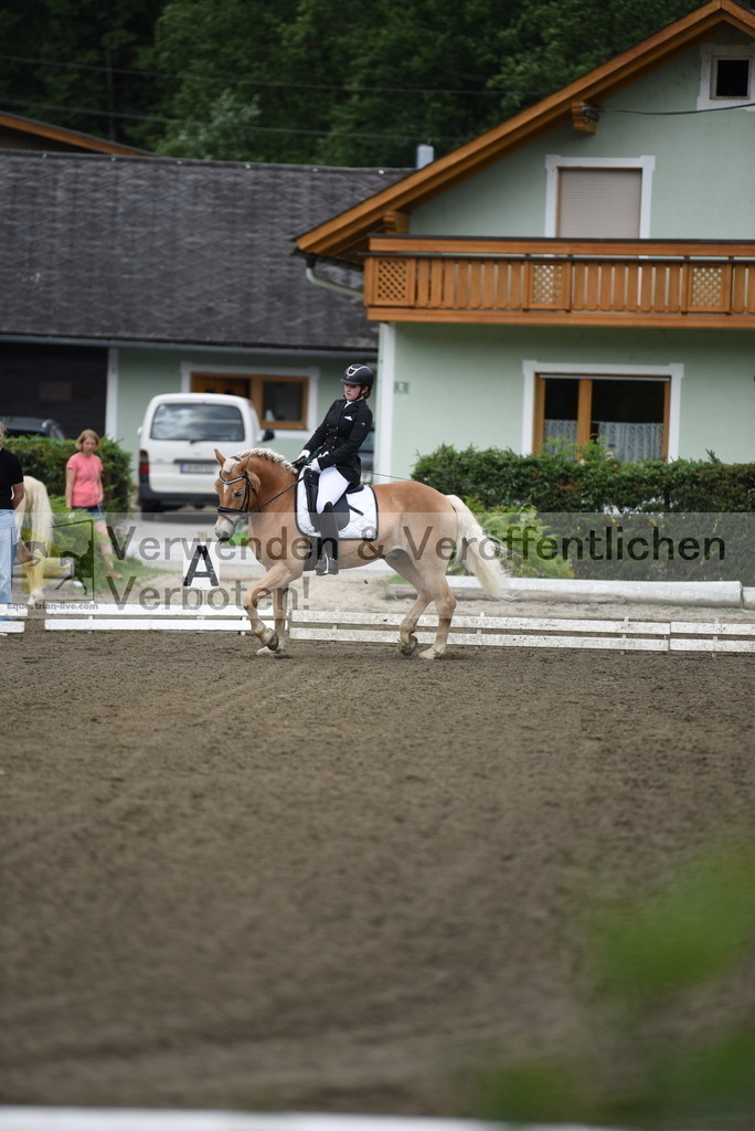 DSC_3714 | equestrian-live-com