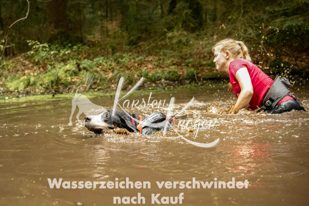 1215_ZZ93387-Bearbeitet | kk-dogfotos