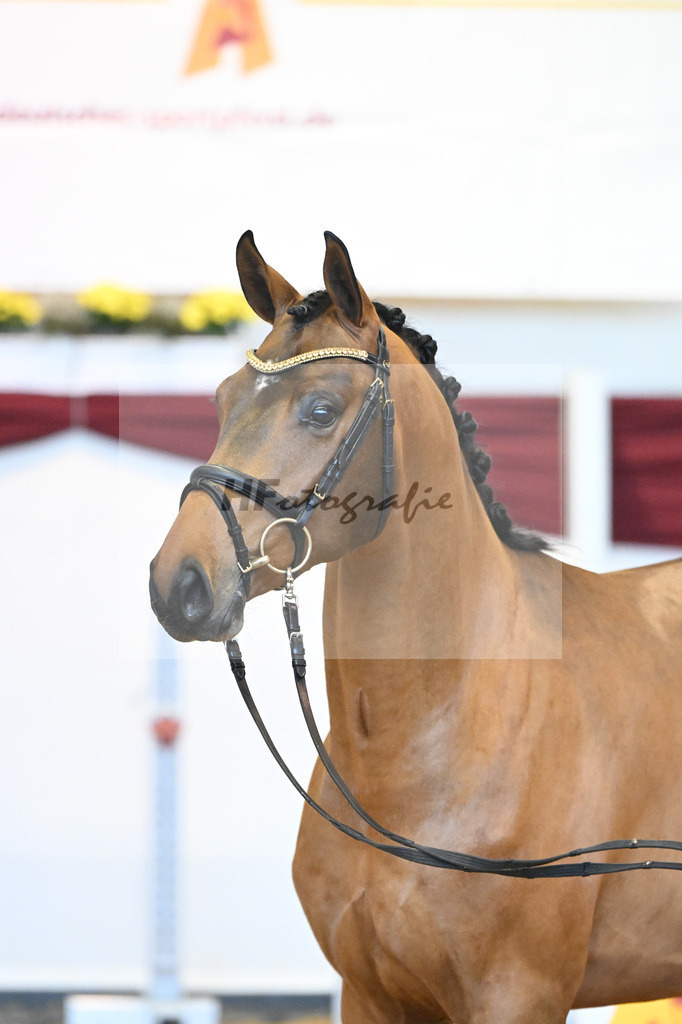 Kat-Nr. 62 v. Asti Spumante_Muehlbauer_66221398 | hf-fotografie - Realisiert mit Pictrs.com