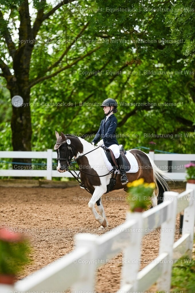 20230716_10-2_Reiter-WB Schritt - Trab - Galopp_0155 | equistock