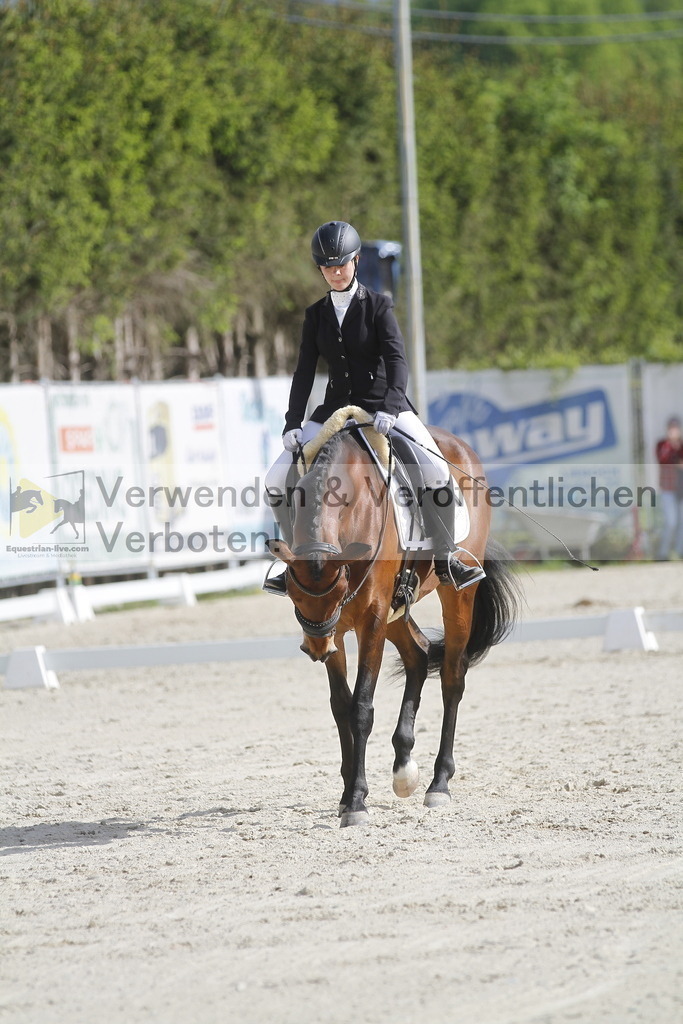 _MG_8483 | equestrian-live-com