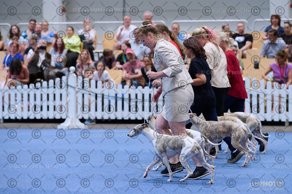 202406_ÖKV-IHA-Tulln24_DSC_3775 | proPHOTO - Realisiert mit Pictrs.com