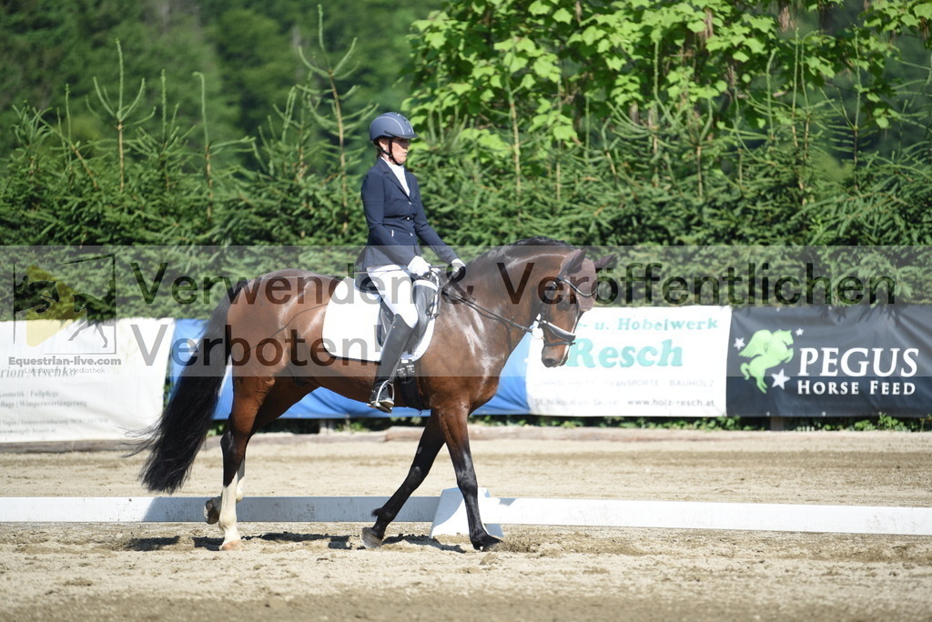 DSC_7789 | equestrian-live-com