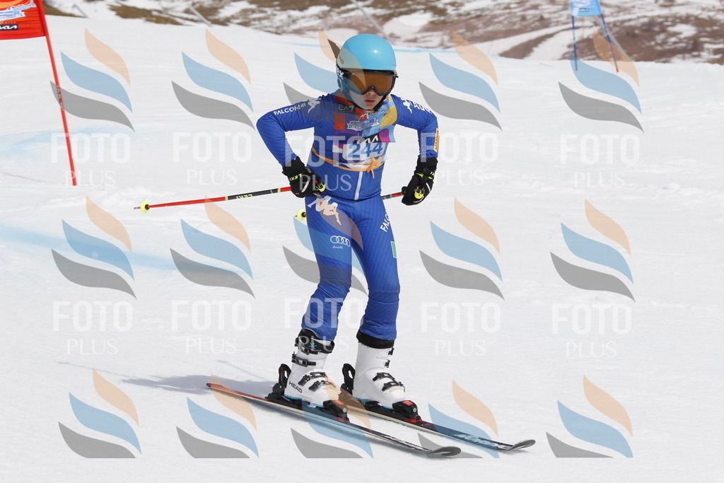 _U3G2779 | holidayphoto