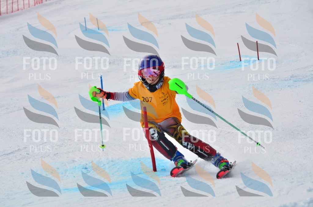 C8157 | holidayphoto