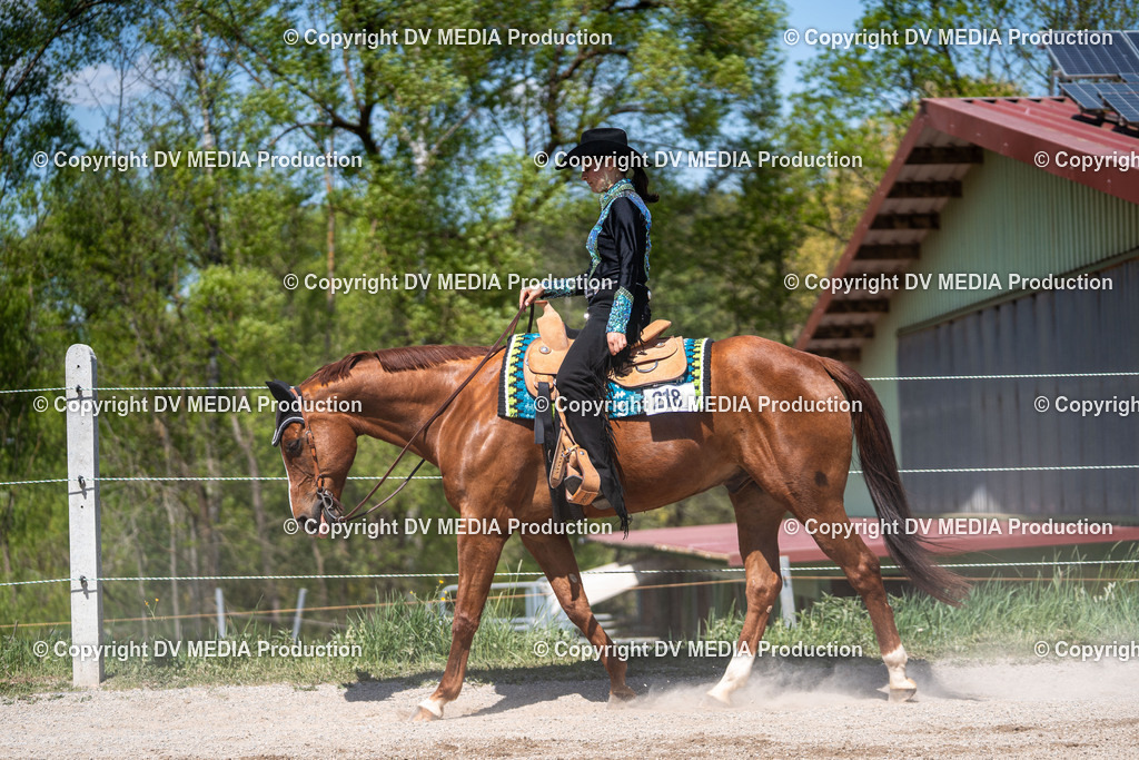 Balingen Tag 2-1183 | dv-media-shop - Realisiert mit Pictrs.com