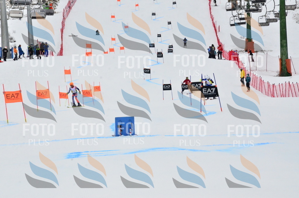 _ELE3607 | holidayphoto